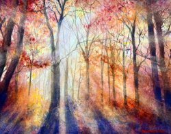 2024-12 Herbstwald